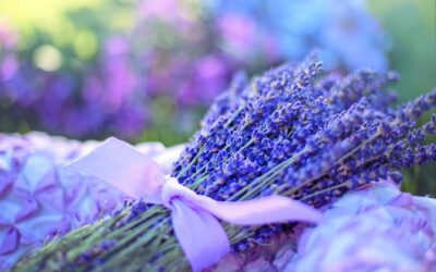 From Abundance to Harmony:  The needed shift to help save humanity