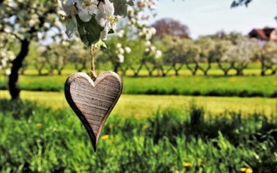 Going Forward with Healing