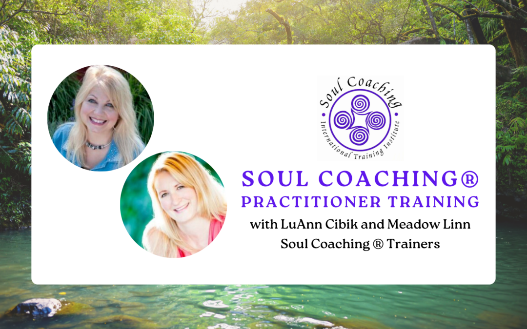 Soul Coaching Certification Online with LuAnn and Meadow