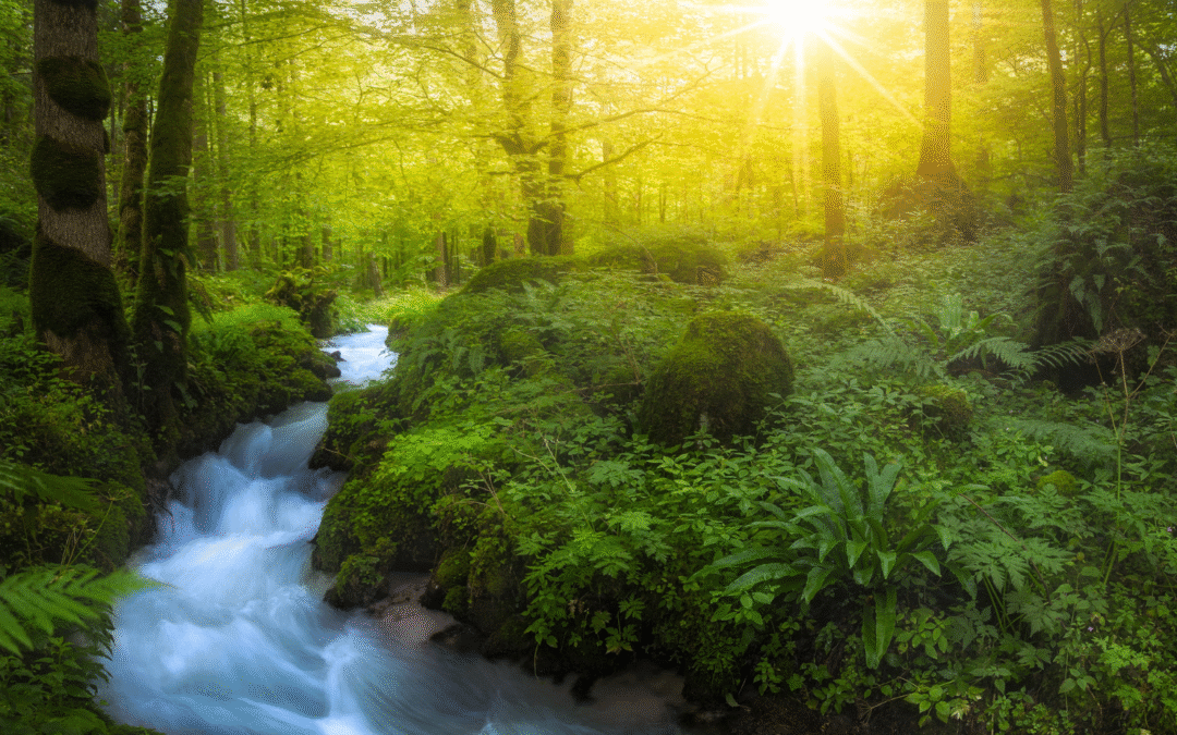 May the stillness of spirit and the delight of nature’s water bring you joy!