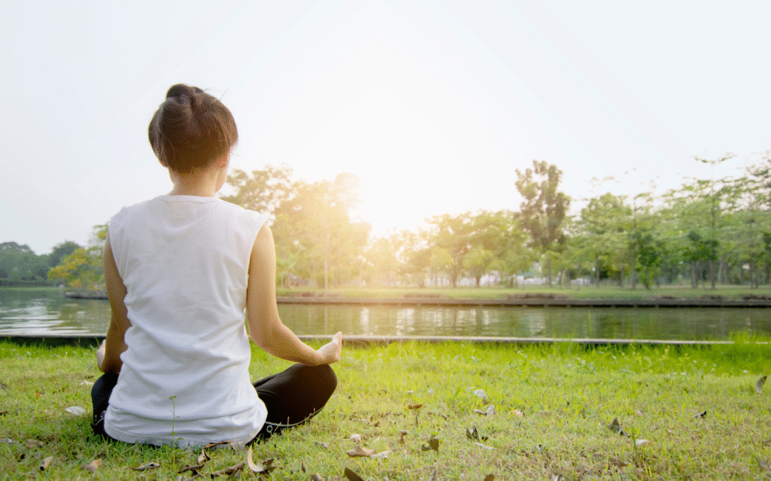 The Elusive Search for Stillness and Silence in a World Filled with Noise