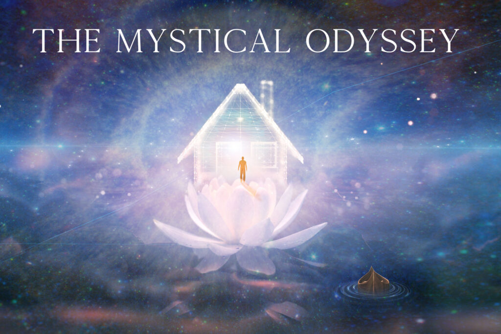 lotus flower in water with sunshine