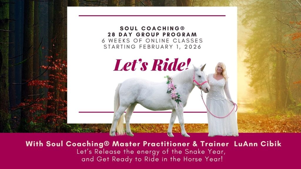 SC Lets Ride 2026(1)