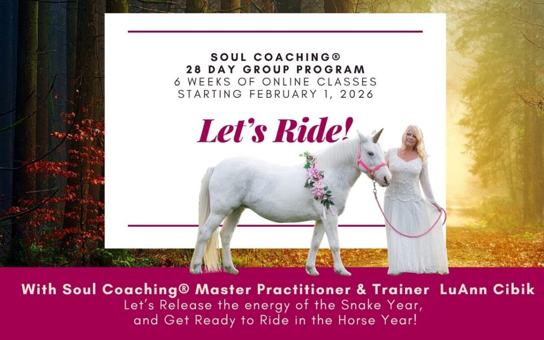 Soul Coaching 28 Day Program with LuAnn Cibik