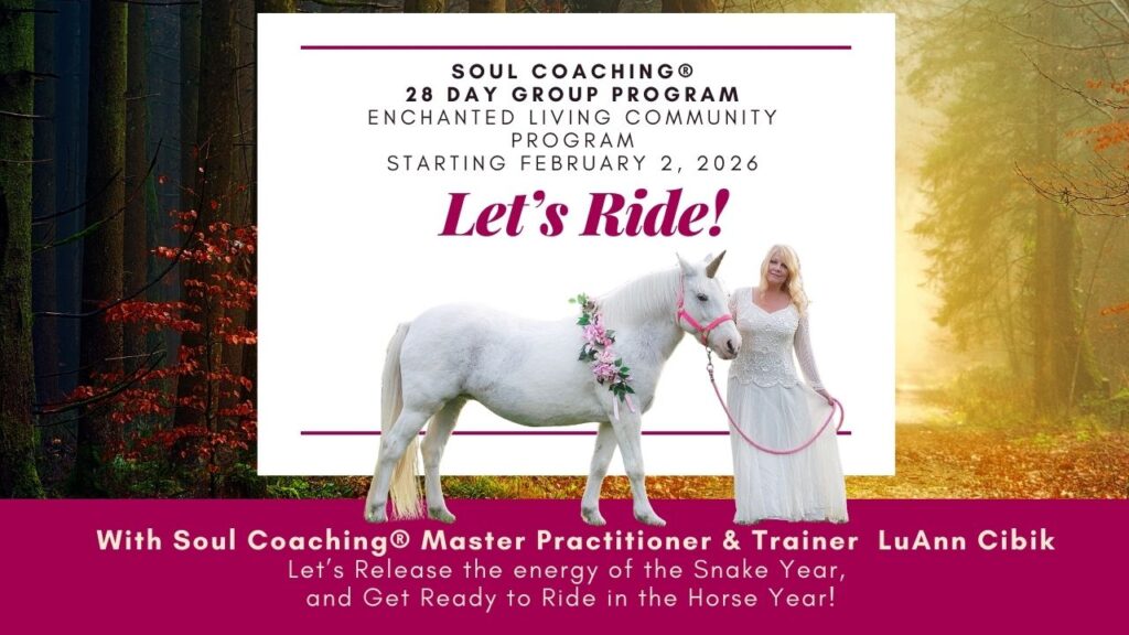 SC Lets Ride 2026(2)