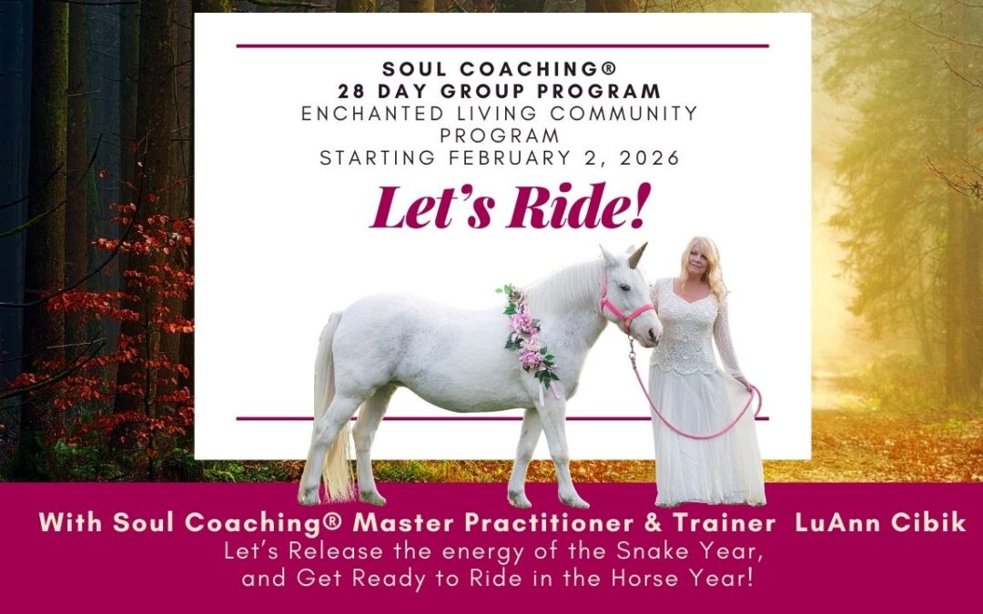 Soul Coaching 28 Day Program with LuAnn Cibik