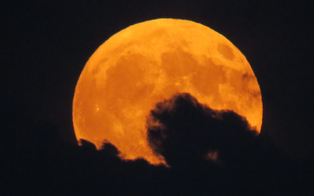 It seems like the moon heard me