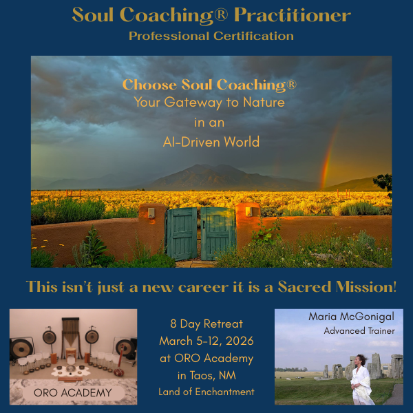 maria Linn Special Promo