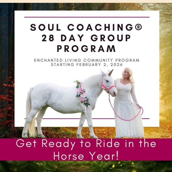 SC Lets Ride 2026(3)