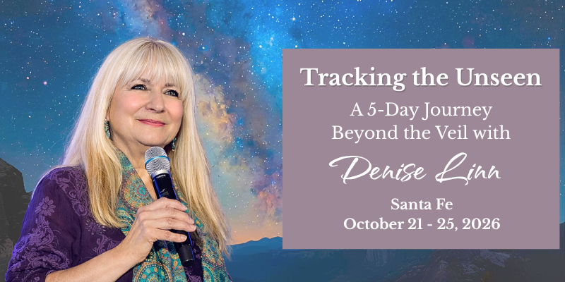 Denise SF email banner (800 x 400 px) (1)